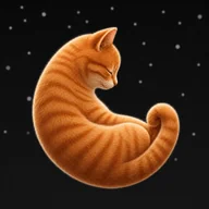 Chaos Cat
