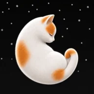 Chonky Cat